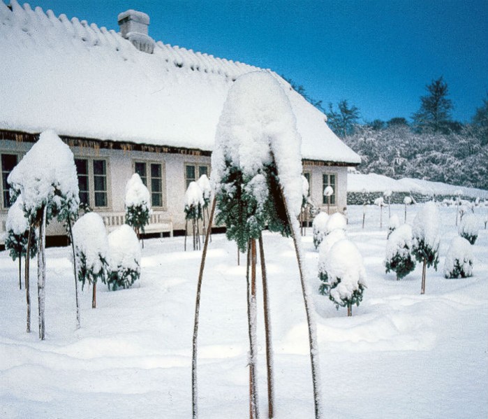 Jul i Dronning Louises Tehus Et sneklaedt Dronning Louises Tehus foto Bjarne Nørgaard